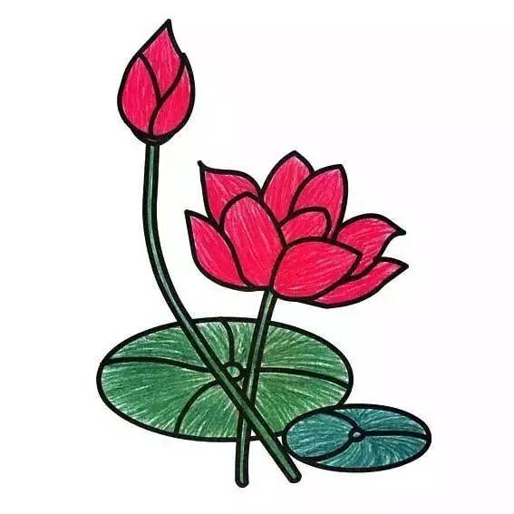 莲花简笔画