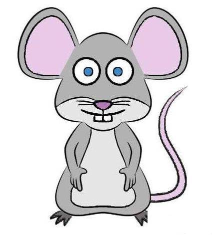 画老鼠简笔画