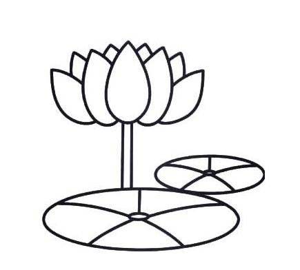 莲花简笔画