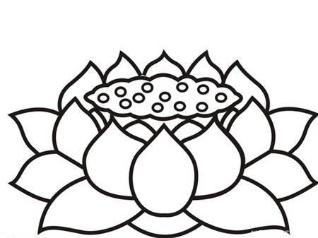 莲花简笔画