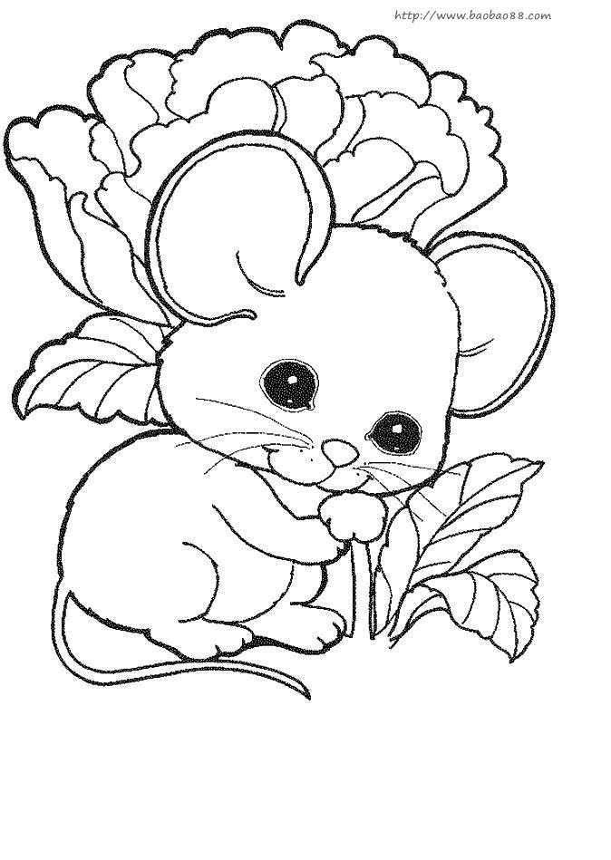 简笔画小老鼠