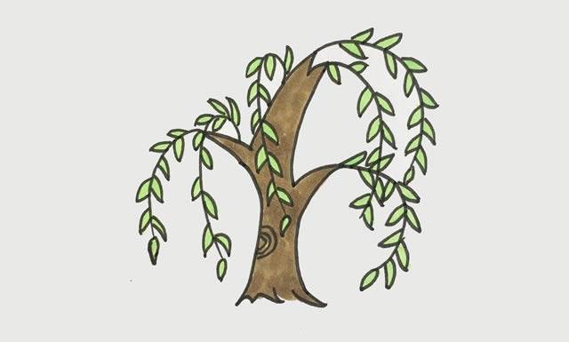 柳树图片简笔画
