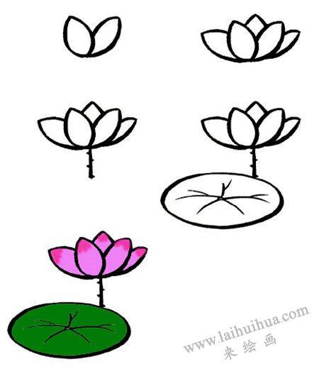 荷花怎么画简笔画