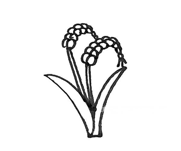 麦子简笔画