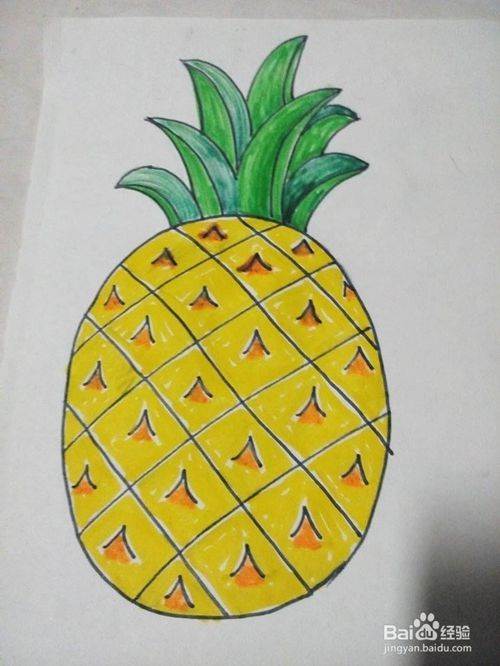 简笔画菠萝