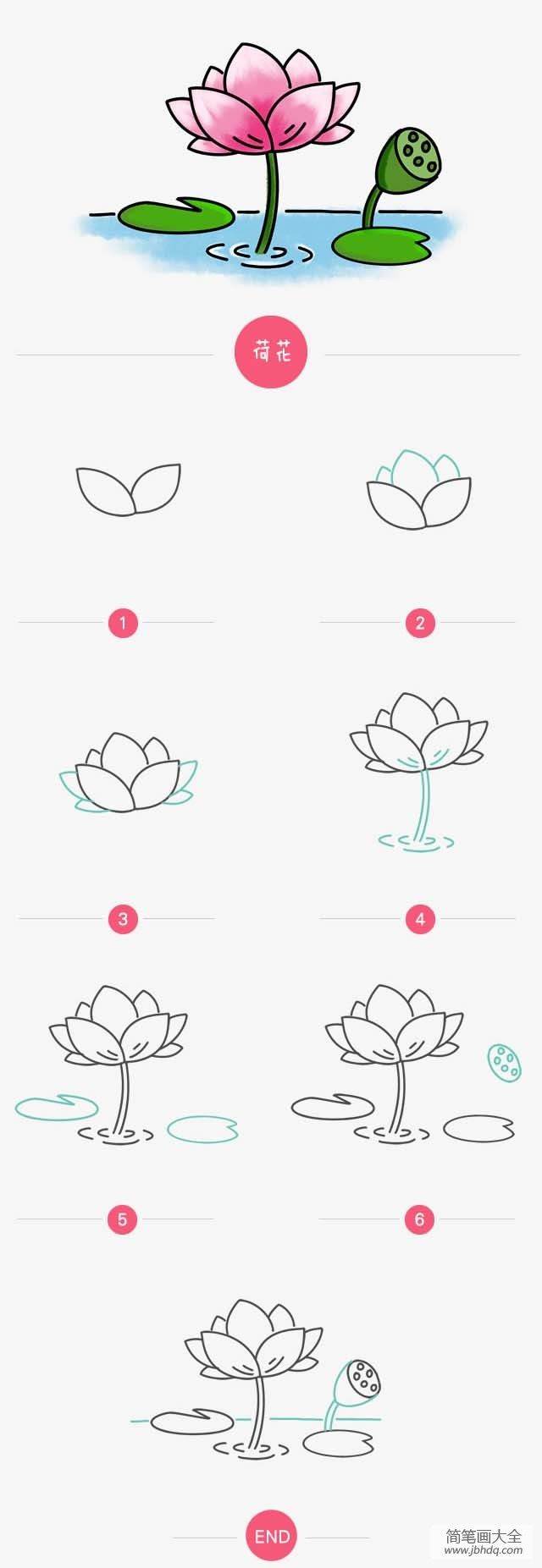 荷花怎么画简笔画