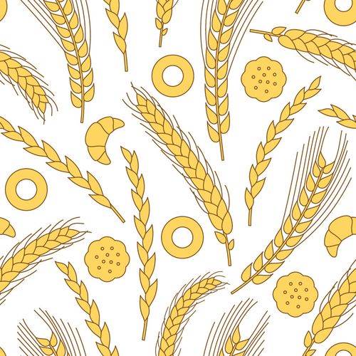 麦子简笔画