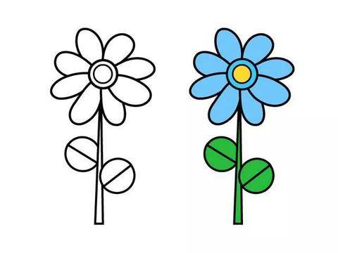 画小花朵
