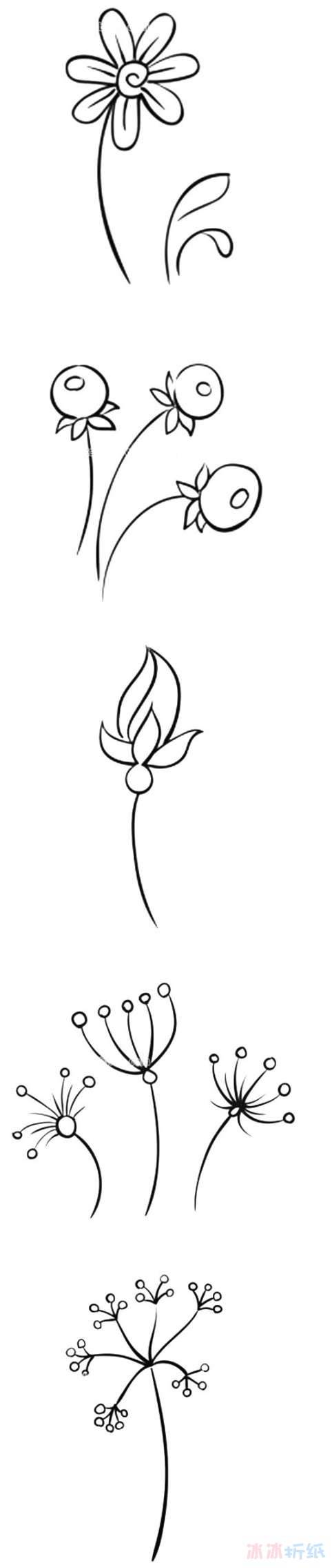 画小花朵