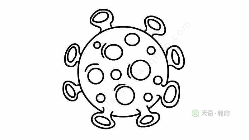 冠状病毒简笔画