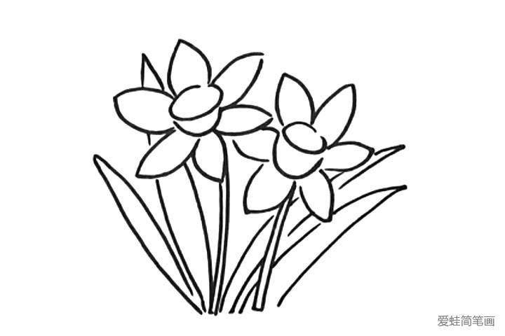 水仙花的简笔画