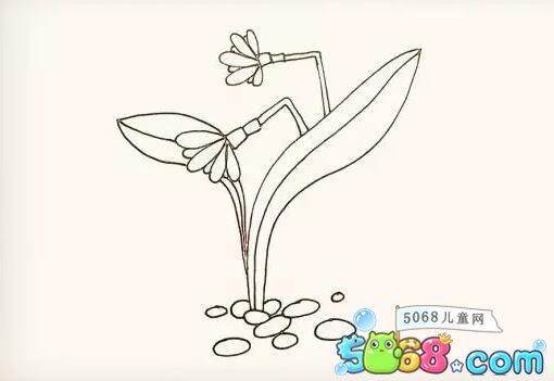 水仙花的简笔画