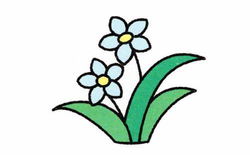 水仙花的简笔画