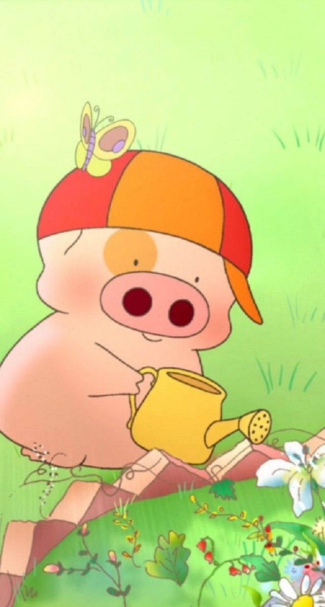 麦兜图片