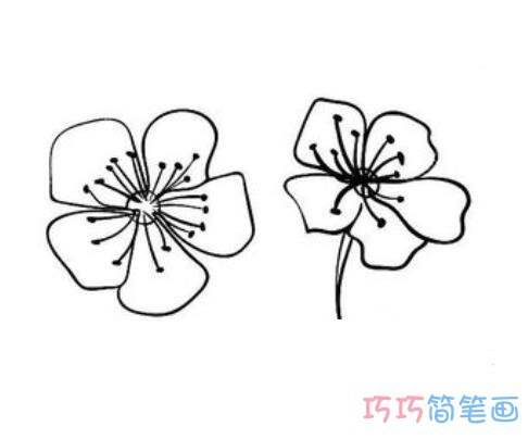 樱花简笔画