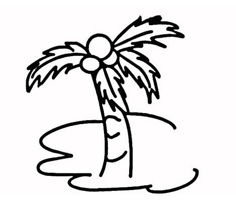 椰子树图片简笔画