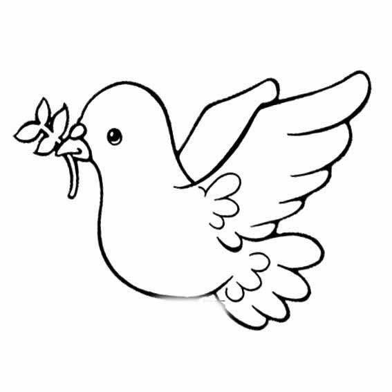 白鸽简笔画