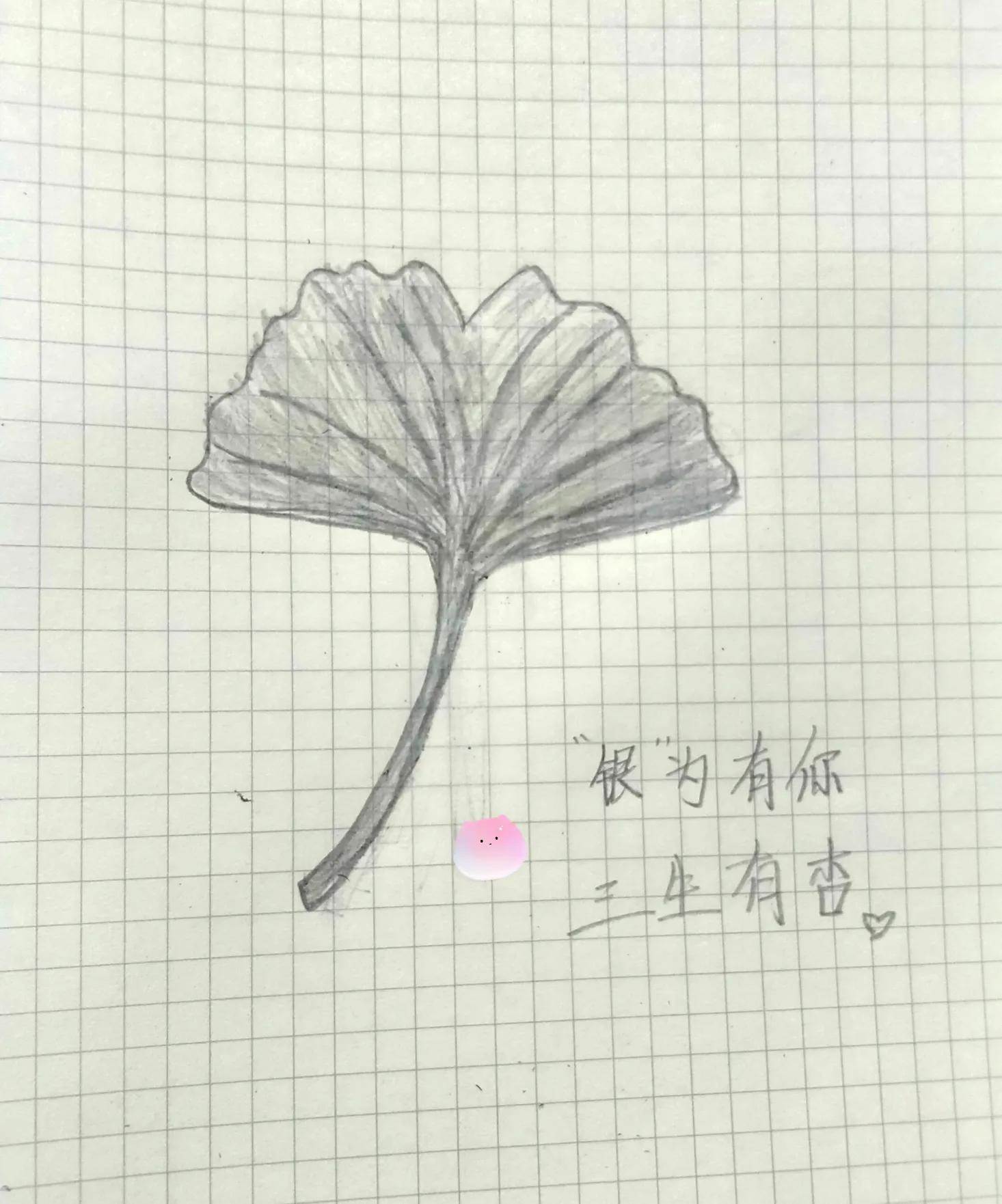 银杏叶简笔画