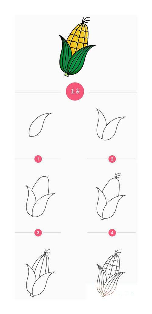 玉米简笔画