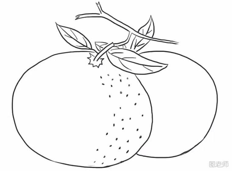 橘子的简笔画