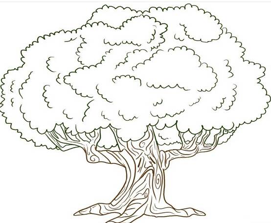 儿童画大树的画法