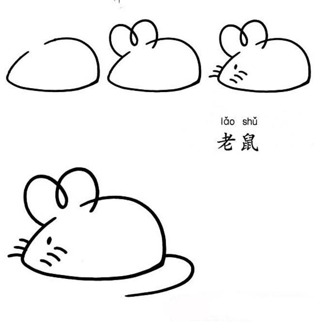 鼠简笔画