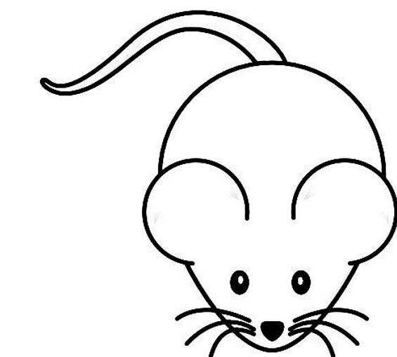 鼠简笔画