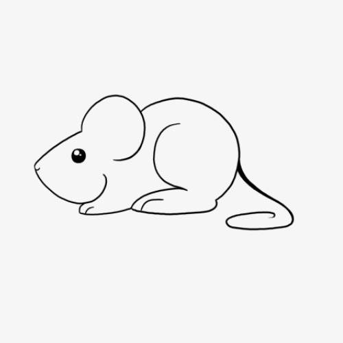 鼠简笔画