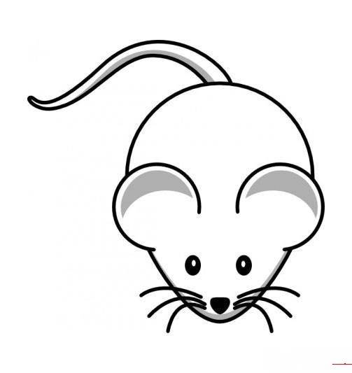 鼠简笔画