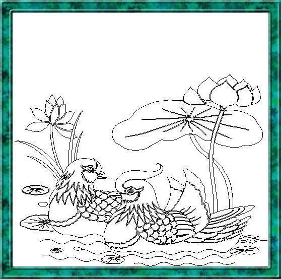 荷花图片大全简笔画
