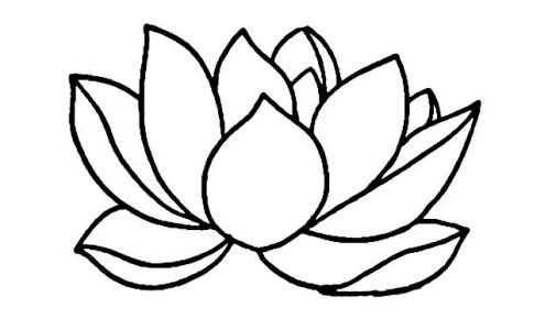 荷花图片大全简笔画
