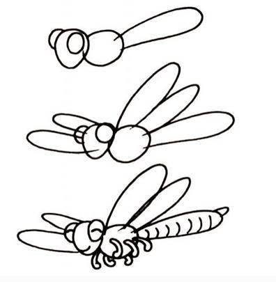 蜻蜓简笔画