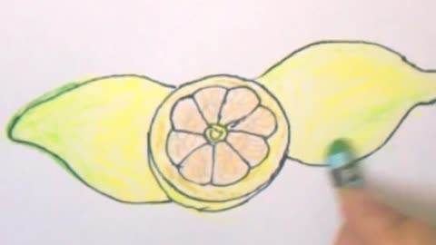 柠檬简笔画
