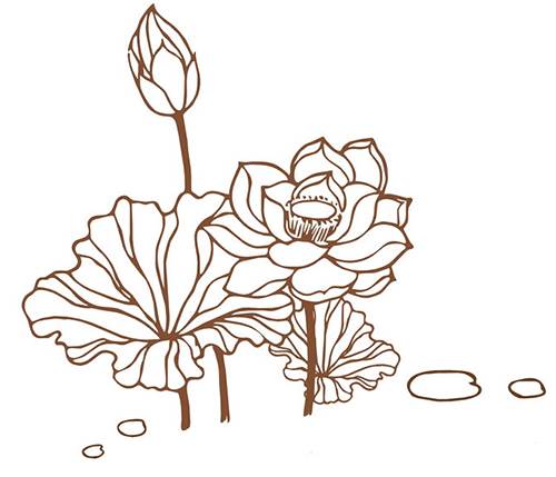 荷花的简笔画
