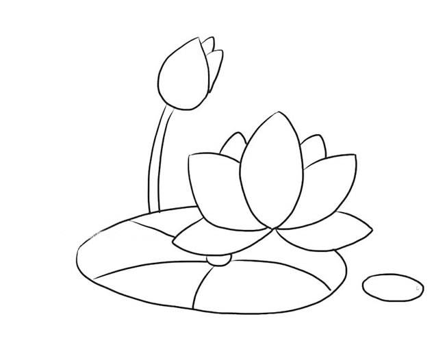 荷花的简笔画