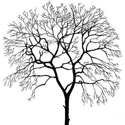 树干简笔画