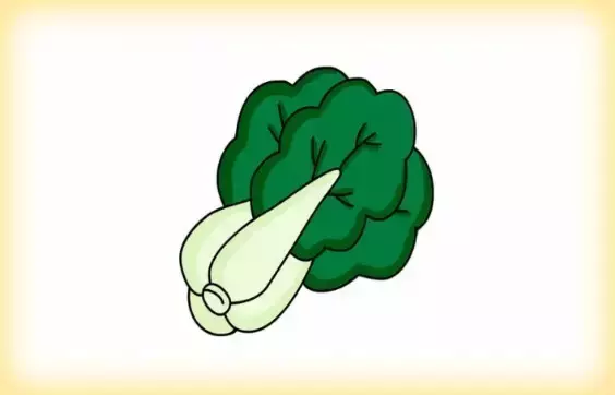 大白菜简笔画