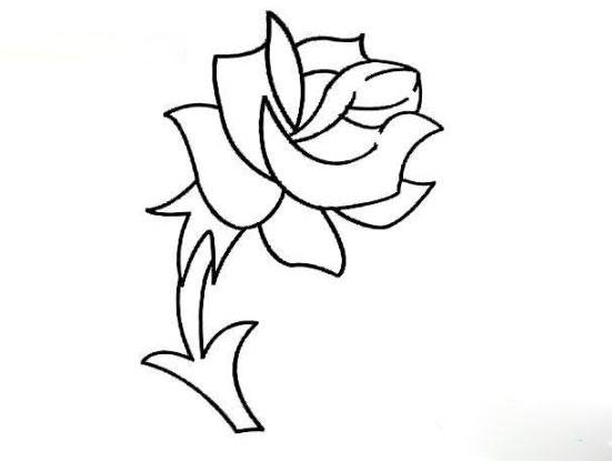 月季花简笔画