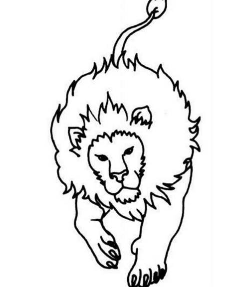 简笔画狮子