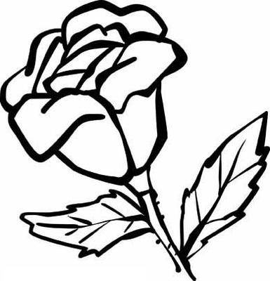 各种花的简笔画