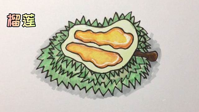榴莲简笔画
