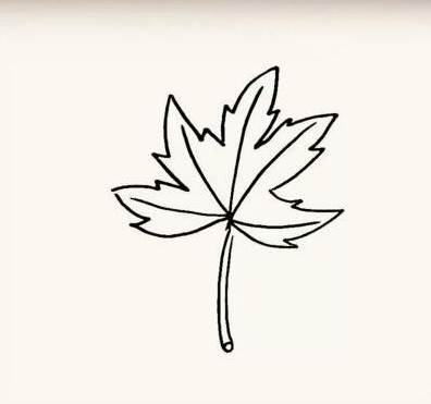 枫叶的简笔画