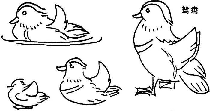鸳鸯简笔画