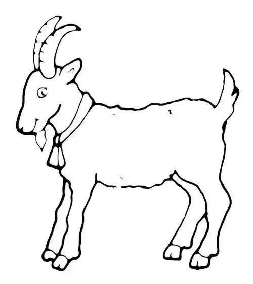 山羊的简笔画