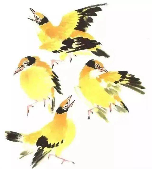 黄鹂鸟简笔画