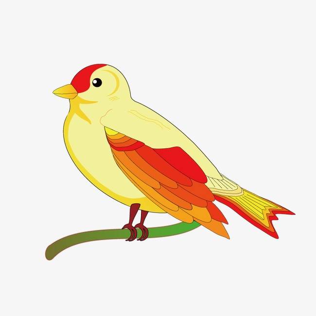 黄鹂鸟简笔画