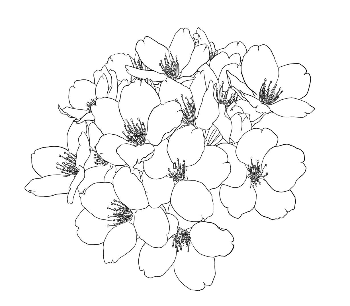 小花的画法