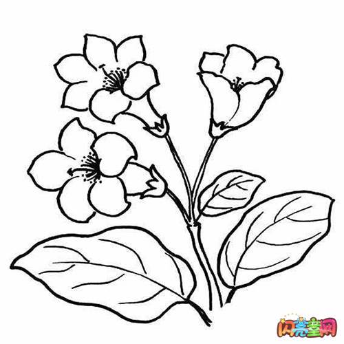 一束花的简笔画