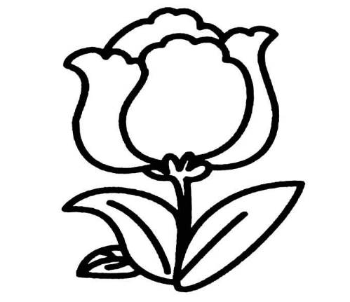 简单花朵简笔画