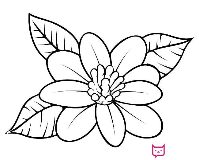 简单花朵简笔画